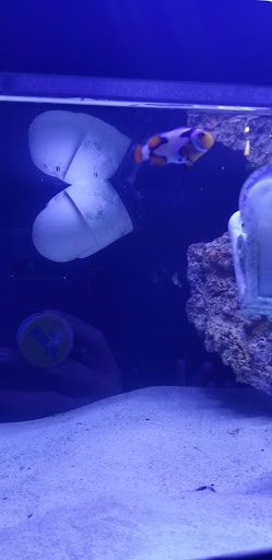 Pet Store «Gaiser Pets», reviews and photos, 714 Plumas St, Yuba City, CA 95991, USA