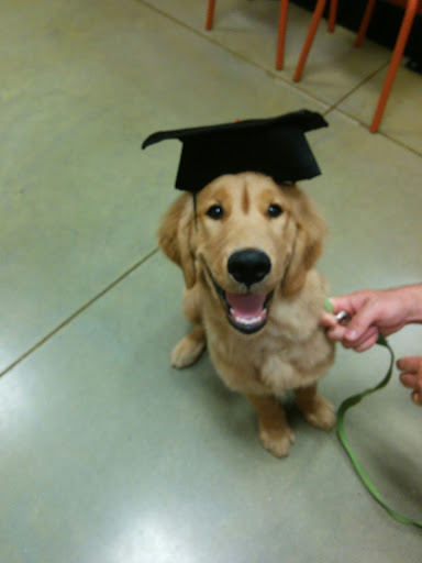 Pet Supply Store «PetSmart», reviews and photos, 160 Washington St #701, Rochester, NH 03839, USA