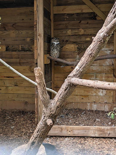 Retreat Center «Refreshing Mountain Retreat and Adventure Center», reviews and photos, 455 Camp Rd, Stevens, PA 17578, USA