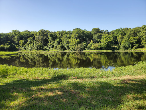 Disc Golf Course «Lester Lorch Park - Beaver Disc Golf Course», reviews and photos, 1823 Texas Plume Rd, Cedar Hill, TX 75104, USA