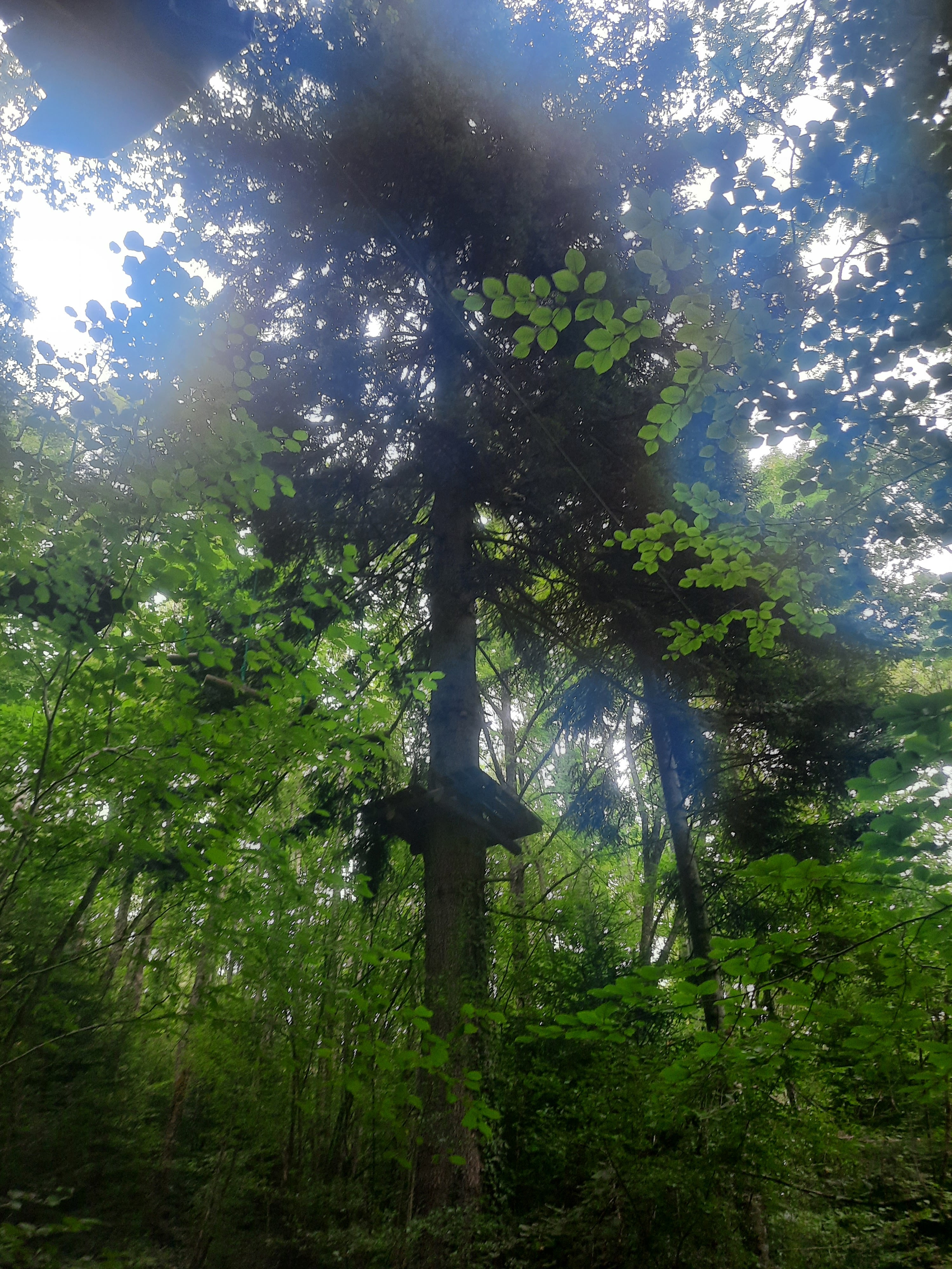 Photo n° 38 de l'avis de DIMA.A fait le 15/08/2021 à 16:23