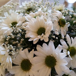 Photo n°5 de l'avis de Elisa.u fait le 29/05/2021 à 10:02 sur le  Mare in Terra à Canosa di Puglia