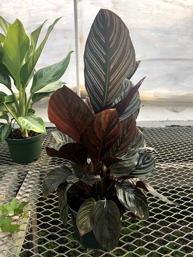 Florist «Country Gardens», reviews and photos, 157 Central St, Rowley, MA 01969, USA