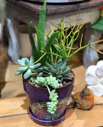 Florist «Carmel Flower Shop», reviews and photos, 1908 US-6, Carmel, NY 10512, USA