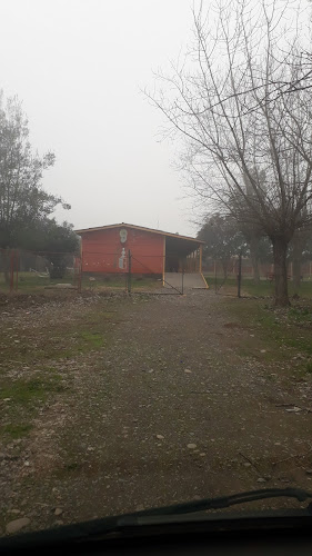 Opiniones de Escuela Santa Valentina en Chimbarongo - Escuela