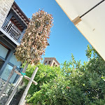 Photo n°1 de l'avis de Alessandra.a fait le 06/07/2021 à 15:09 sur le  Giardini del Vicario Caffè Sas di Papini Debora e C. à Anghiari