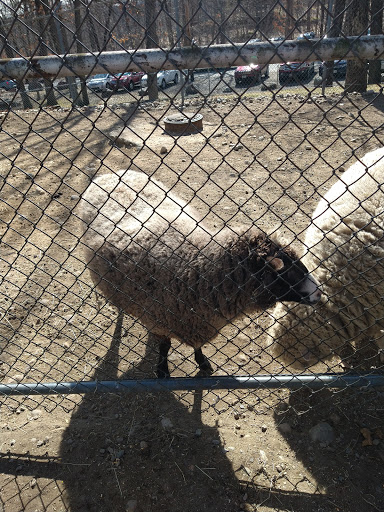 Zoo «North Attleboro WW1 Memorial Park», reviews and photos, 365 Elmwood St, North Attleborough, MA 02760, USA