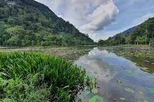 Thale Ban National Park image
