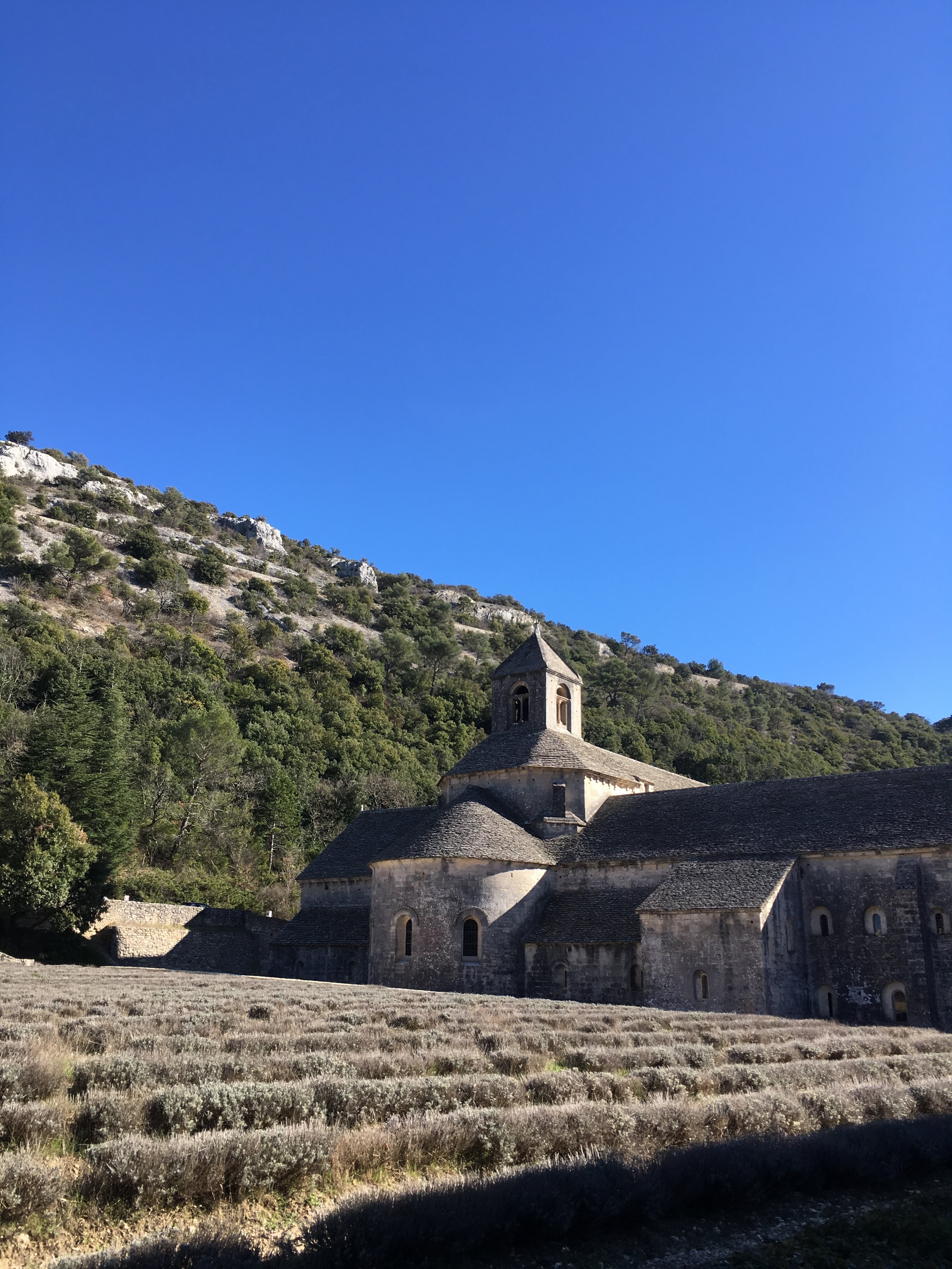 Photo n° 2 de l'avis de philippe.o fait le 19/03/2019 à 23:40
