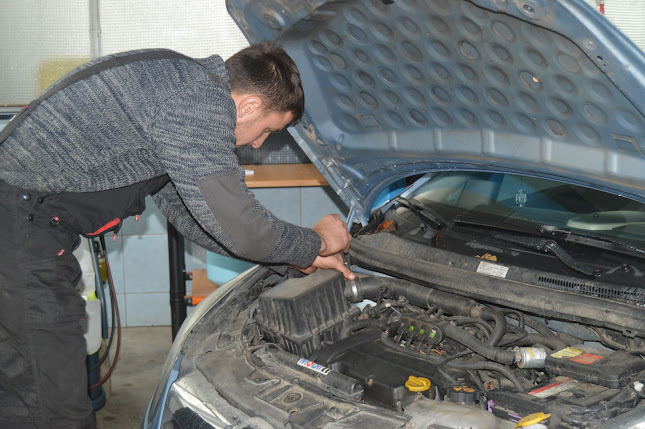 orar Matega Service Auto Targoviste