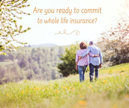 Home Insurance Agency «McGhee Insurance Agency NLR», reviews and photos