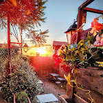 Photo n°1 de l'avis de Andrea.a fait le 06/07/2022 à 10:29 sur le  Osteria della Luna à Vignale Monferrato