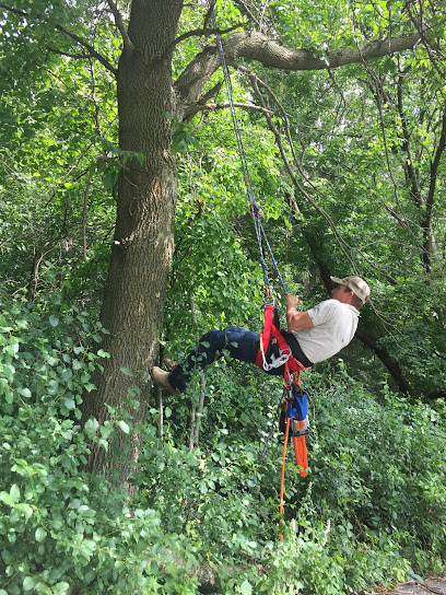 MC Tree Services Inc