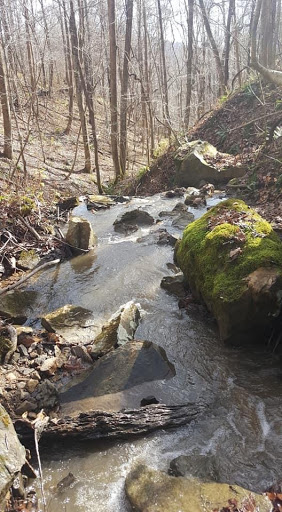 General Store «Windrock Park General Store», reviews and photos, 912 Windrock Rd, Oliver Springs, TN 37840, USA