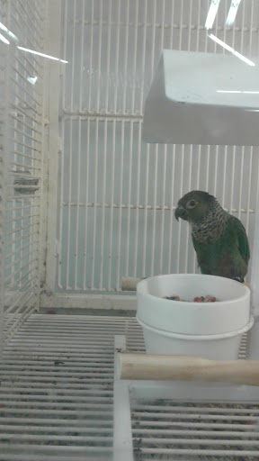 Pet Supply Store «Petco Animal Supplies», reviews and photos, 2895 Gulf Fwy S, League City, TX 77573, USA