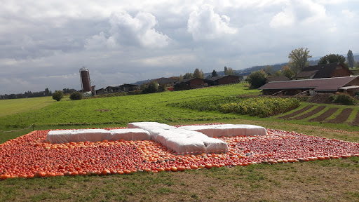 Römerhof, Jucker Farm AG