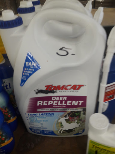 Thrift Store «Stardust Building Supplies», reviews and photos