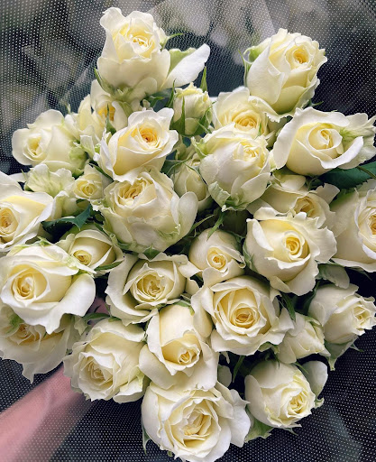 Hair Salon «Aylin Beauty Salon & Spa», reviews and photos, 820 E 41st St, Hialeah, FL 33013, USA