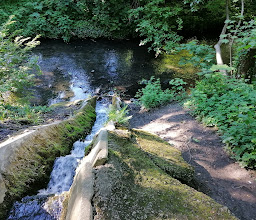 Am Stauteich 1 photo