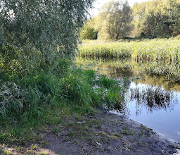 Hönower Weiherkette photo