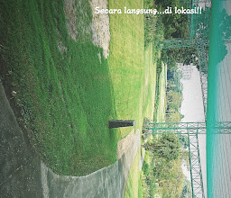 The Green Belle photo