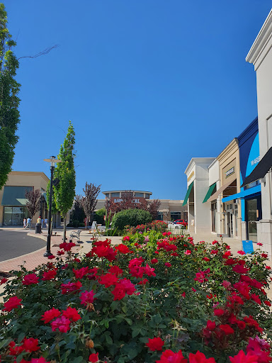 Computer Store «Apple Lehigh Valley», reviews and photos, 250 Lehigh Valley Mall, Whitehall, PA 18052, USA