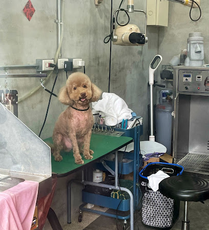 三毛浴堂宠物美容工作室