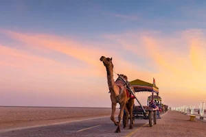 Sahara Tours and Travels image