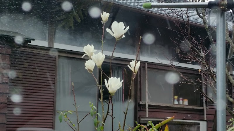 日産サティオ宮崎 日南店