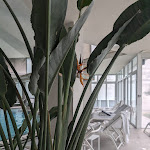 Photo n°10 de l'avis de Maria.r fait le 09/12/2023 à 10:55 sur le  Hotel Plaza à Abano Terme