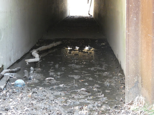 Nature Preserve «Jurgensen Woods Nature Preserve», reviews and photos, 183rd St, Lansing, IL 60438, USA