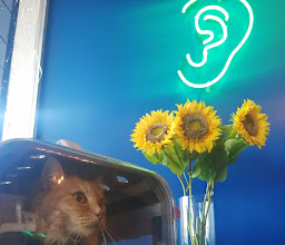 Joly Coffee Bar photo
