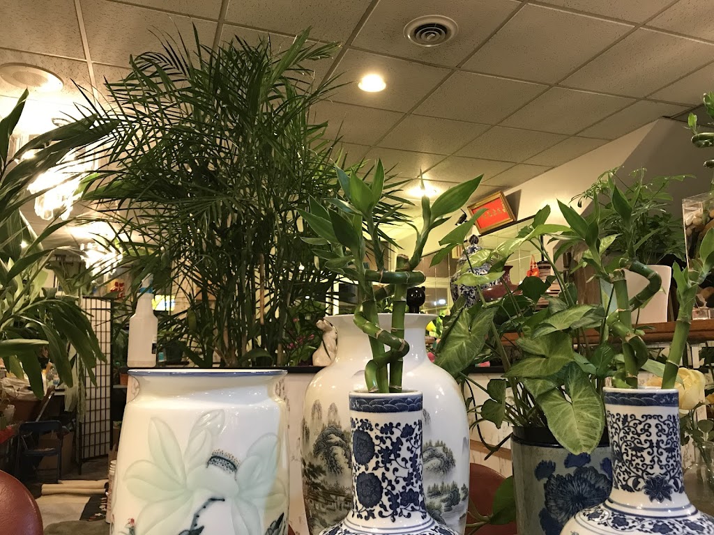 China Restaurant 56101