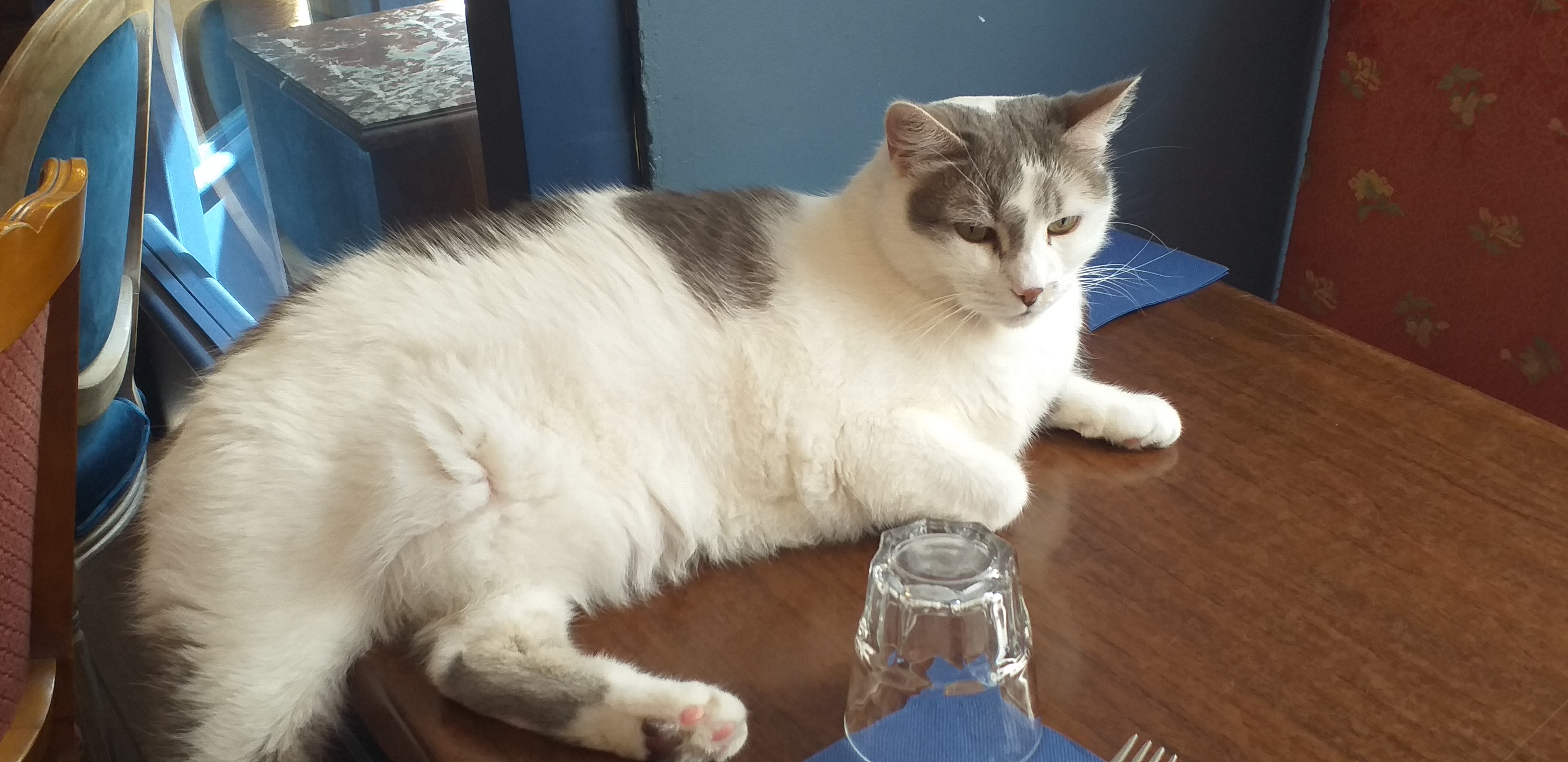 Photo n° 4 de l'avis de steph.u fait le 19/06/2022 à 15:46