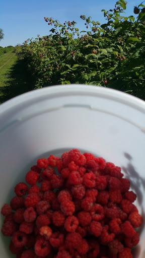 Produce Market «Natura Farms», reviews and photos, 19060 Manning Trail N, Marine on St Croix, MN 55047, USA