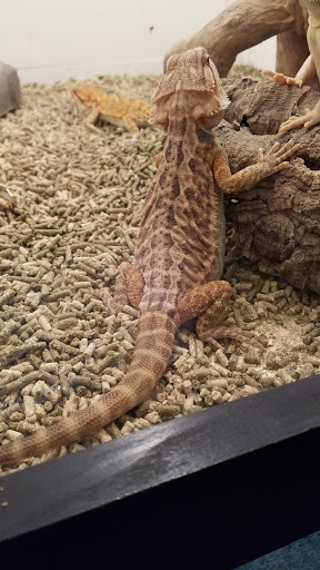 Pet Store «Miles of Exotics», reviews and photos, 8350 N Broadway, Kansas City, MO 64118, USA