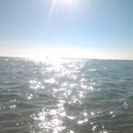 Photo n°3 de l'avis de Antonio.a fait le 31/05/2017 à 19:20 sur le  Bacino Grande Hotel Ristorante Stabilimento Porto Cesareo à Torre Lapillo