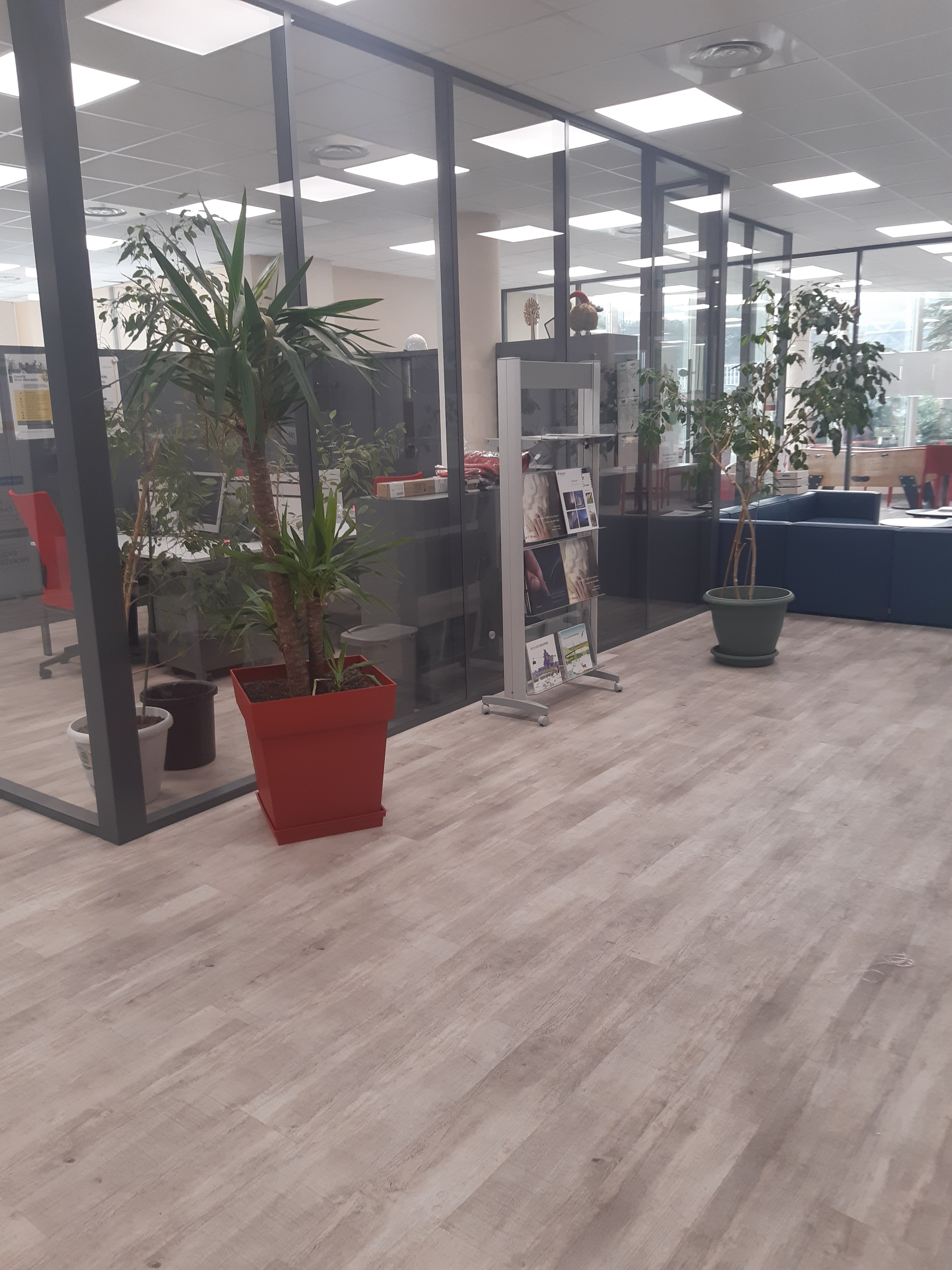 Photo n° 1 de l'avis de jl.o fait le 23/02/2021 à 12:15