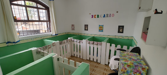 Pet Shop entre cães e gatos Vila Formosa São Paulo