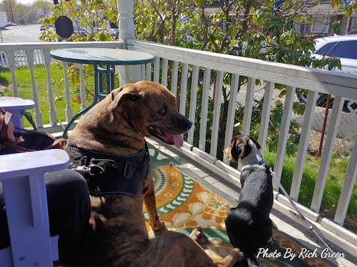 Explore witch broom tattoo ideas, creative tattoo ideas in East Brookfield, available at Port of Worcester Tattoo, E. Brookfield