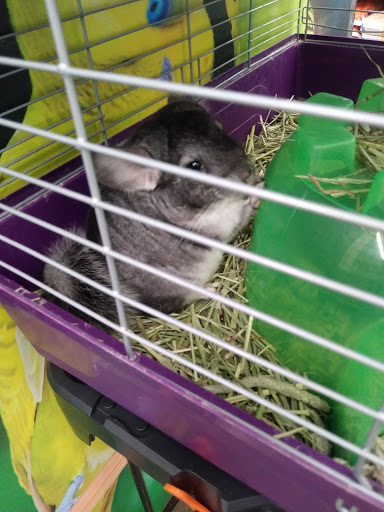 Pet Supply Store «Pet Supplies Plus», reviews and photos, 713 Brandilynn Blvd, Cedar Falls, IA 50613, USA