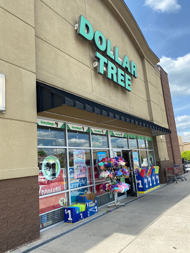 Dollar Store «Dollar Tree», reviews and photos, 2540 Cumberland Blvd SE, Smyrna, GA 30080, USA