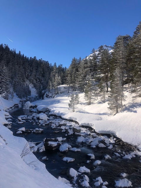 Photo n° 3 de l'avis de Lola.E fait le 24/01/2022 à 16:37