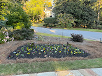 Plants Creative Landscapes - Photo 5 - Car repair in Scottdale, GA, Atlanta