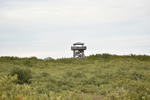 Nature Preserve «Manatee Viewing Center», reviews and photos, 6990 Dickman Rd, Apollo Beach, FL 33572, USA