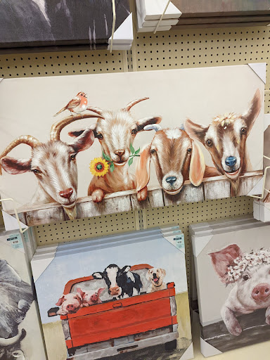 Craft Store «Hobby Lobby», reviews and photos, 1660 S Robert St, West St Paul, MN 55118, USA