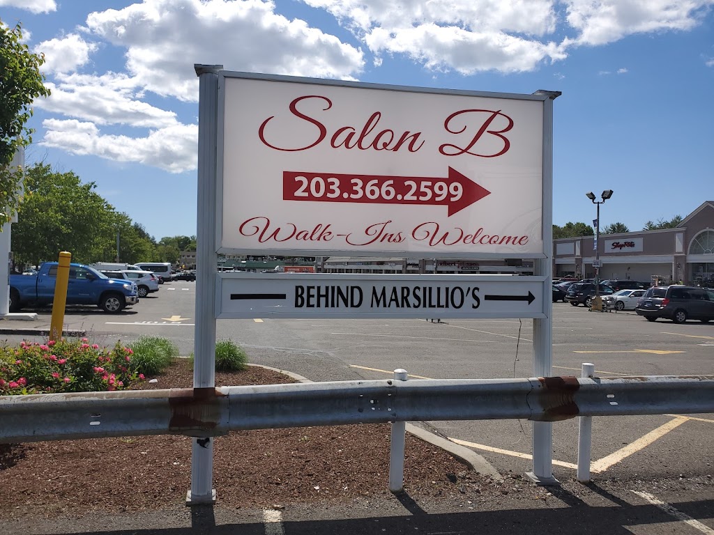 Salon b 06824