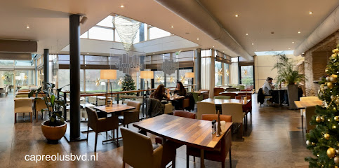 Restaurant Vlonders Utrecht - Ariënslaan 1, 3573 PT Utrecht, Netherlands