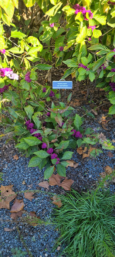 Recreation Center «Tucker Recreation Center», reviews and photos, 4898 Lavista Rd, Tucker, GA 30084, USA