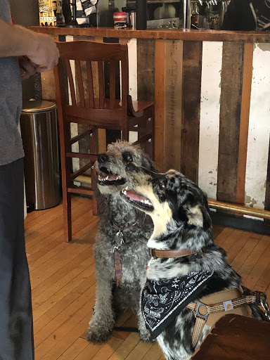 Beer Store «BEER SHOP», reviews and photos, 1026 North Blvd, Oak Park, IL 60302, USA